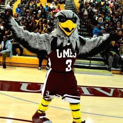 Harry T. Hawk | Mascot Hall of Fame