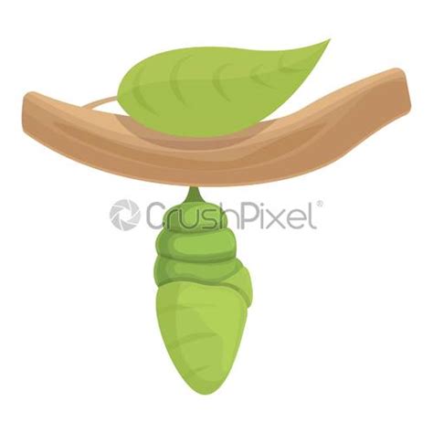 Tree Cocoon Icon Cartoon Vector Natural Silk Stock Vector