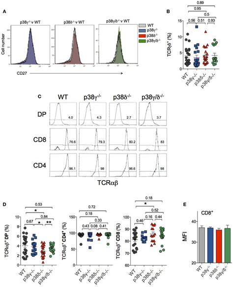 Effect Of P And Or P Deletion In The Generation Of Tcr And