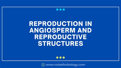 Reproduction In Angiosperm And Reproductive Structures