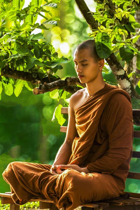 Digital monks explain what meditation youtube does for brains 38