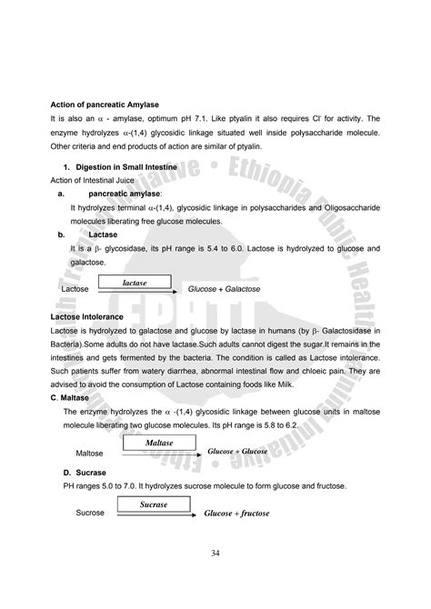 Solution Metabolism Of Carbohydrates Medical Biochemistry Guide