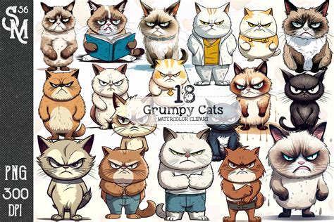 Grumpy Cats Sublimation Clipart Png Graphic By Stevenmunoz56 · Creative