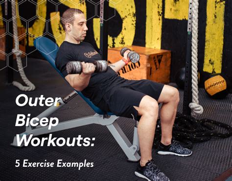 Outer Bicep Workouts Exercise Examples Fitbod