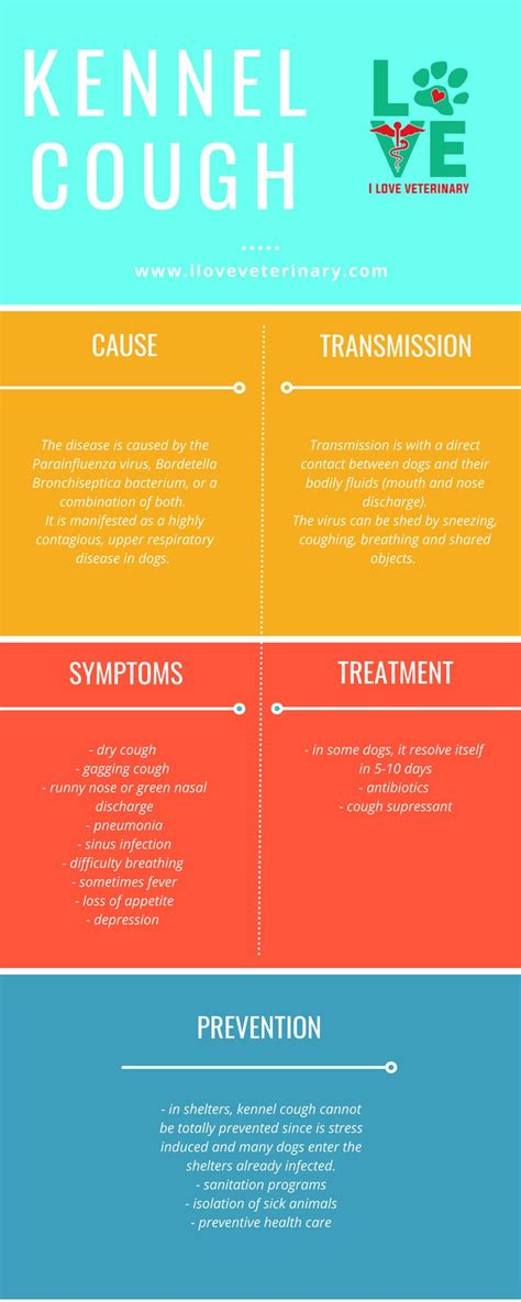 Kennel Cough - Explained! | Vet medicine, Vet tech school, Vet tech student
