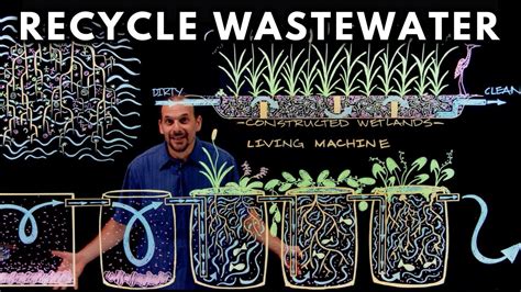 How to Recycle Waste Water Using Plants - Pan Gaia Permaculture