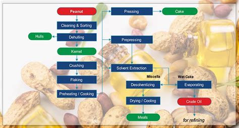 Choose Right Groundnutpeanut Oil Extraction Machines