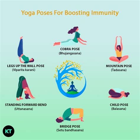 Immune Boosting Yoga 5 Key Poses For Enhanced Health Yoga Mind Body