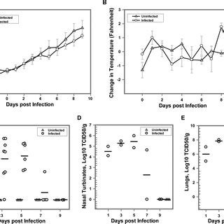 Body Weight And Temperature Changes And Virus Titers In Nasal Washes