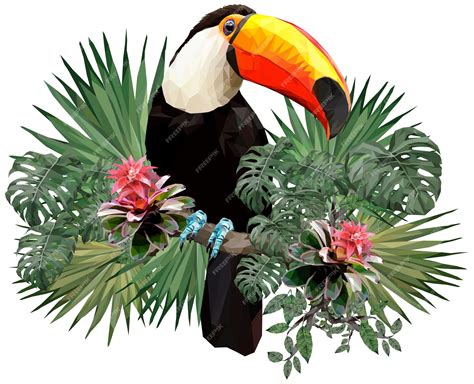 Illustration Polygonale Doiseaux Toucan Et Plantes De La Forêt