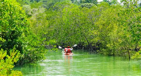 4 ways to Stay Safe While Exploring the Kerala Backwaters.