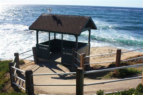 Shell Beach in La Jolla, CA - California Beaches