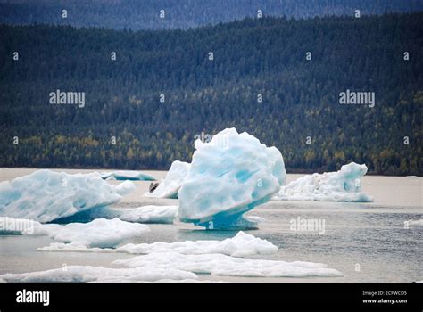 Piccoli Iceberg Formazioni Di Ghiaccio Galleggianti Come Visto Nella