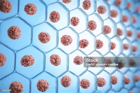 3d Illustration Human Skin Cell Stock Photo Download Image Now