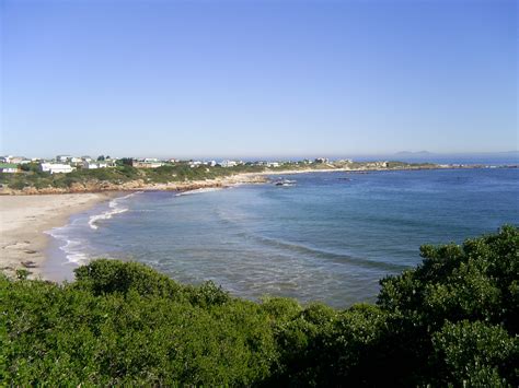 Hermanus Whale Watching