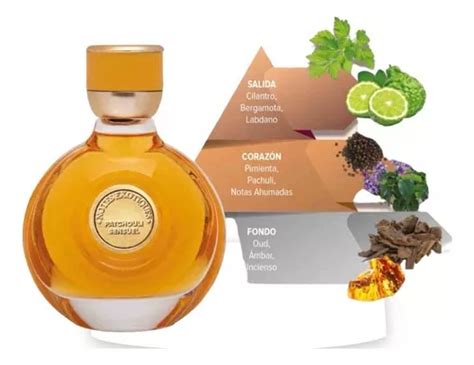 Perfume Terramar Hombre Patchouli Sensuel Notes Exotiques Meses Sin