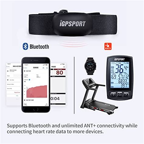 Igpsport Hr40 Heart Rate Monitor Bluetooth And Ant With Chest Strap For Running Cycling Gym And