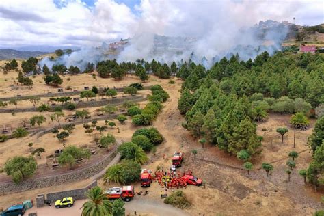 El Cabildo Declara La Alerta Por Riesgo De Incendios Forestales En Gran