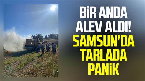 Bir anda alev aldı Samsun da tarlada panik Samsun Haber Samsun Son