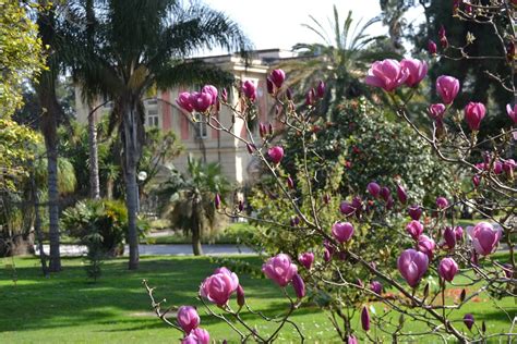 Planta La Grande Mostra Mercato Gratuita Nel Real Orto Botanico Di