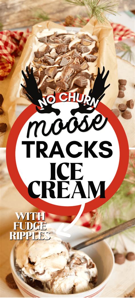 The Best Moose Tracks Ice Cream Recipe {no Churn} • The Fresh Cooky