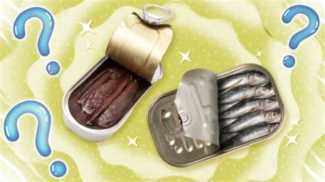 Anchovies vs Sardines: Here’s the Difference | Sporked