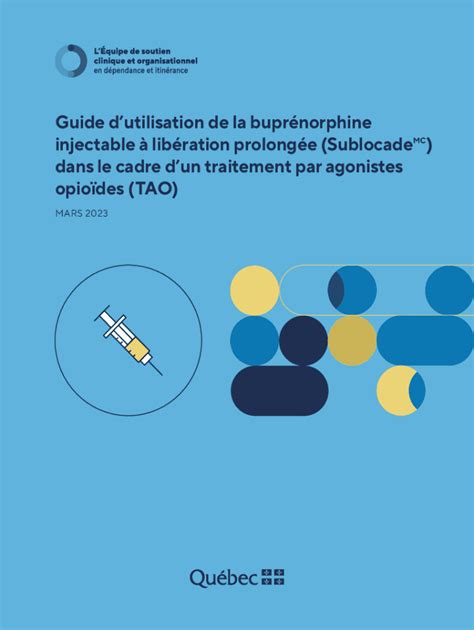 Remplissable En Ligne Guide Dutilisation De La Buprnorphine