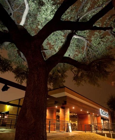 Oak Is Still A Mighty Player In Dallas Fine Dining Scene Cravedfw