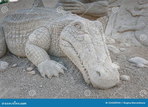 Sand Sculpture Of The Crocodile Sand Sculptures Festival In Jelgava