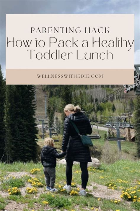 15 Toddler Lunch Box Ideas For Preschool—Healthy And Easy! | Toddler ...