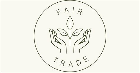 What Is Fair Trade Tea? What Makes It Fair Trade, and Our Fave Brands