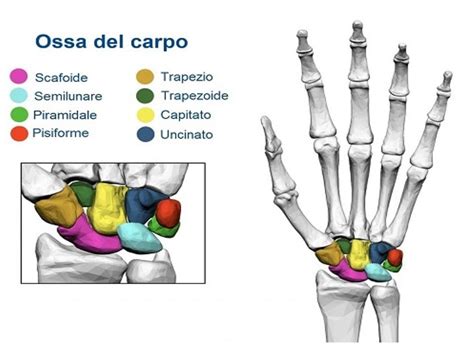 La Fisioterapia Del Polso Fisio Salute