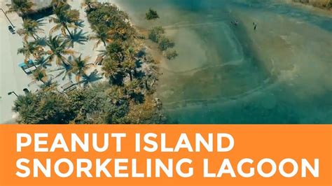 Peanut Island Snorkeling Lagoon Youtube