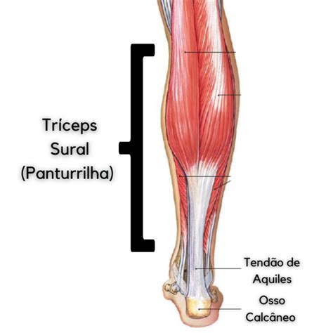 Dor No Calcanhar Saiba Principais Causas Medicina Ortop Dica