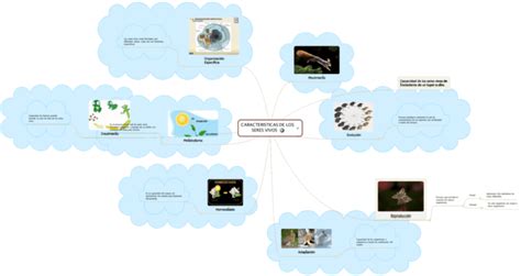 Mapas mentales características de los seres vivos Descargar