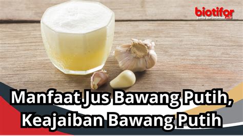 Manfaat Jus Bawang Putih Keajaiban Bawang Putih Biotifor