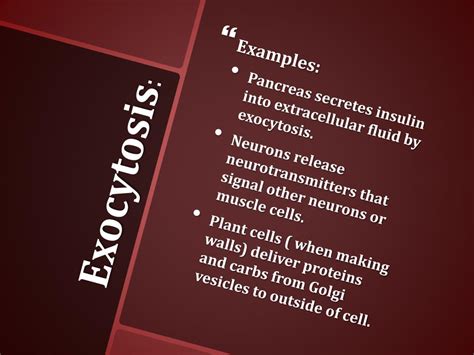 PPT - Endocytosis & Exocytosis PowerPoint Presentation, free download ...