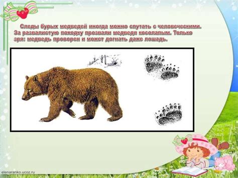 Виталий Витальевич Бианки. Музыкант - online presentation