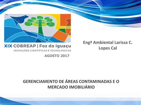 Pdf Gerenciamento De Reas Contaminadas Ibape Nacional Br