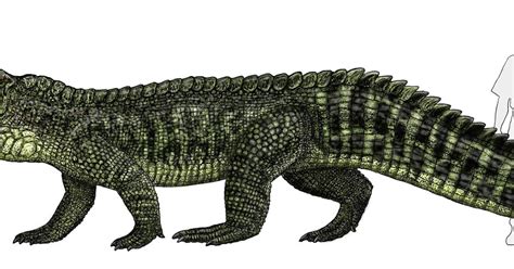 Chinleana: Smilosuchus in Color