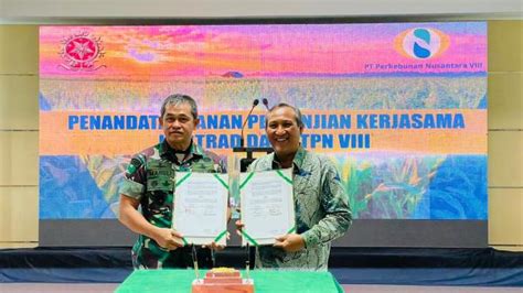 Wujudkan Ketahanan Pangan Ptpn Viii Dan Kostrad Berkolaborasi