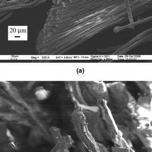 Sem Micrograph Of Fractured Fibers In Twaron Epoxy Composite A