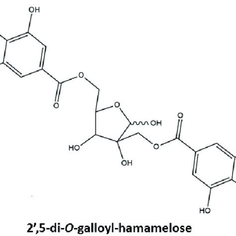 Basic Chemical Structure Of Ham Two Galloyl Moieties Are Esterified To Download Scientific