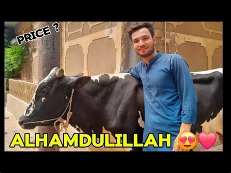 Alhamdulillah Qurbani Ky Leye Bail Le Leya Youtube