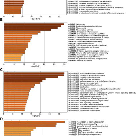 Go And Kegg Pathway Analysis Of Degs Between Carotid Unstable Plaque