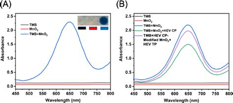 UV Visible Absorption Spectra Of A Only TMB Only MnO 2 And TMB MnO