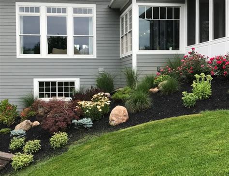 How Many low maintenance shrubs for front yards? | Home Improve Insider