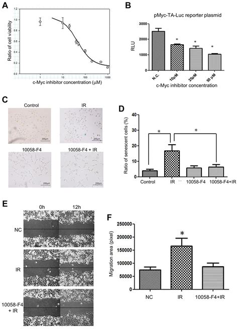 Involvement Of C Myc In Low Dose Radiation Induced Senescence Enhanced