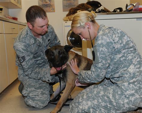 Columbus AFB says goodbye to Army MWD veterinarian > Columbus Air Force