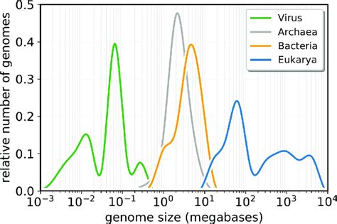 Sizes Of Completed Genome Sequences Showing Distinct Size